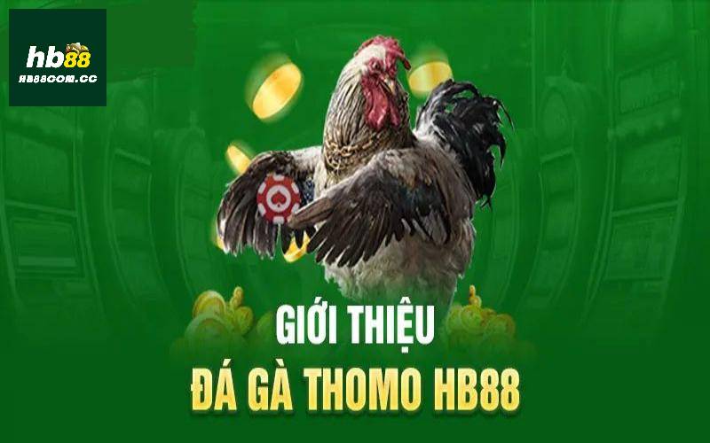 Giới thiệu về đá gà HB88